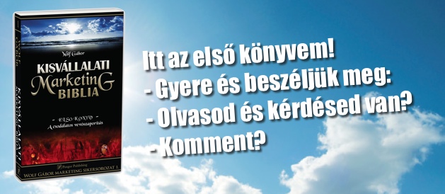 Kisvállalati Marketing Biblia